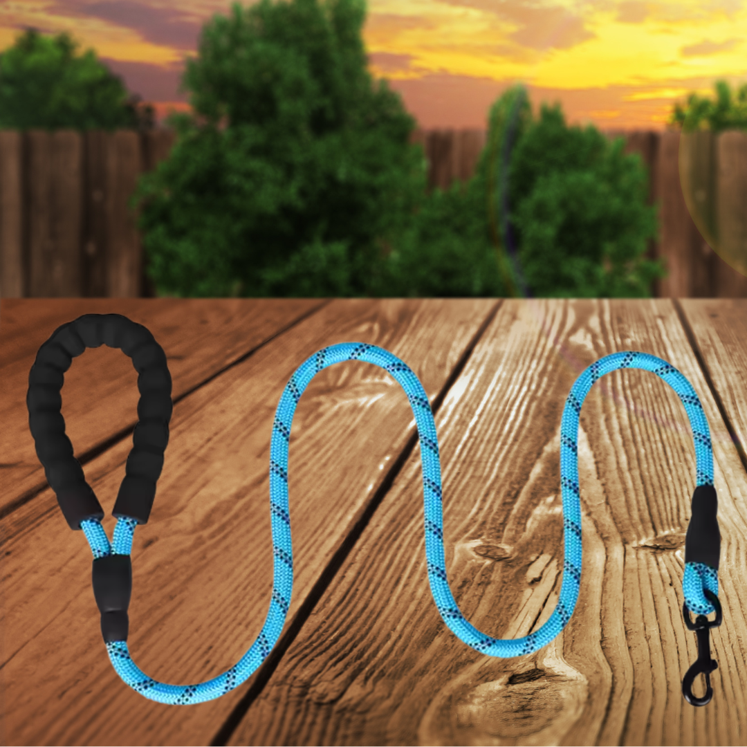 Leash - 5 foot reflective nylon leash with comfort handle