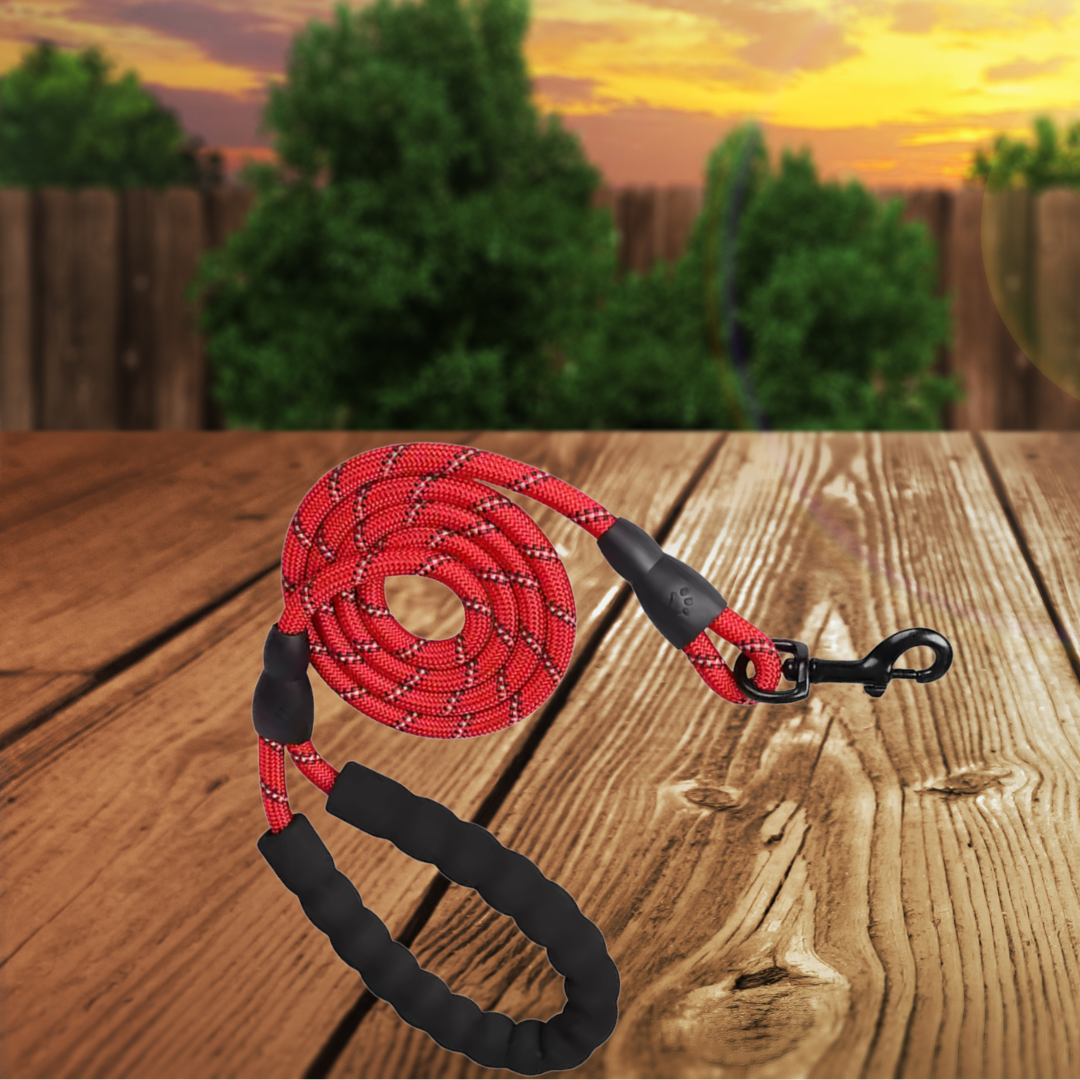 Leash - 5 foot reflective nylon leash with comfort handle