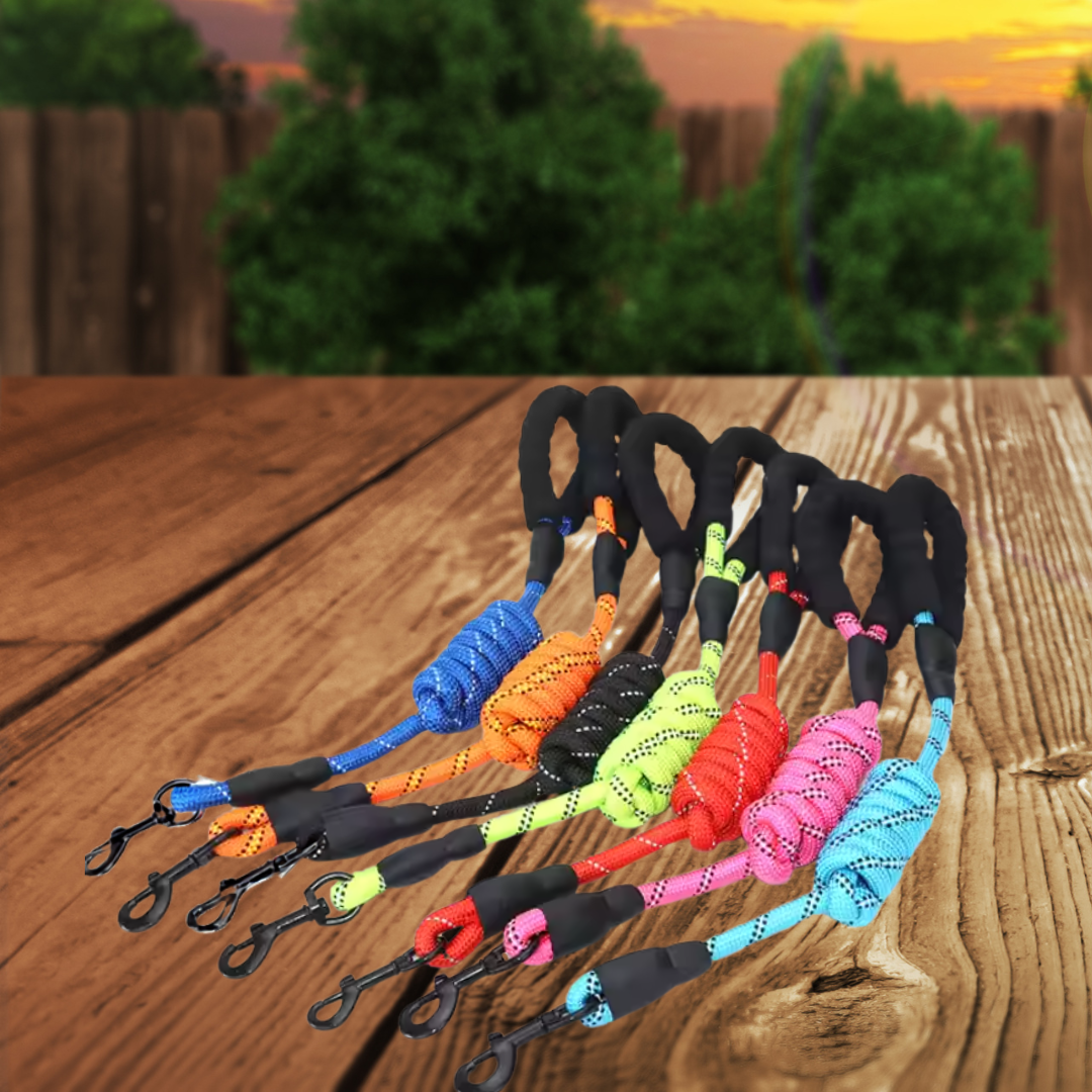 Leash - 5 foot reflective nylon leash with comfort handle