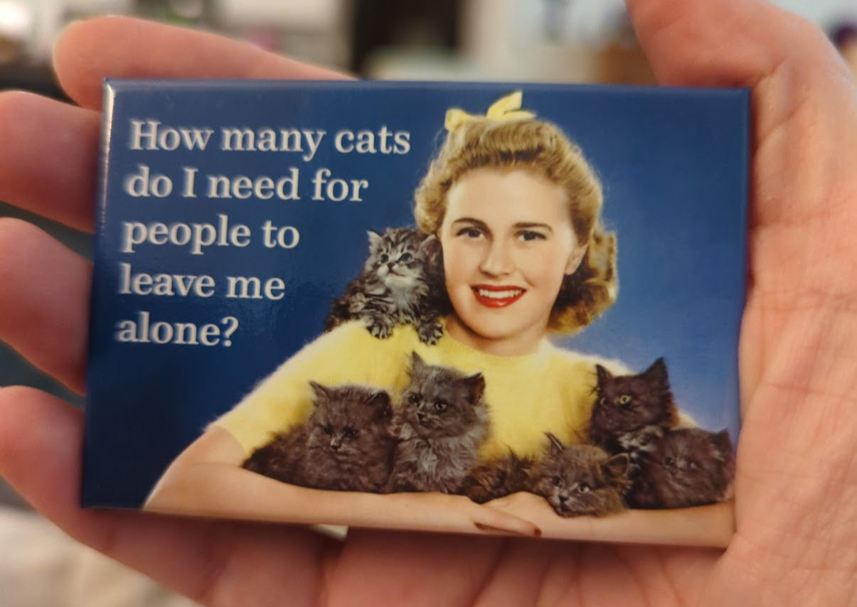 Rectangular magnet with a woman surrounded by cats and text on a blue background, held in hands.