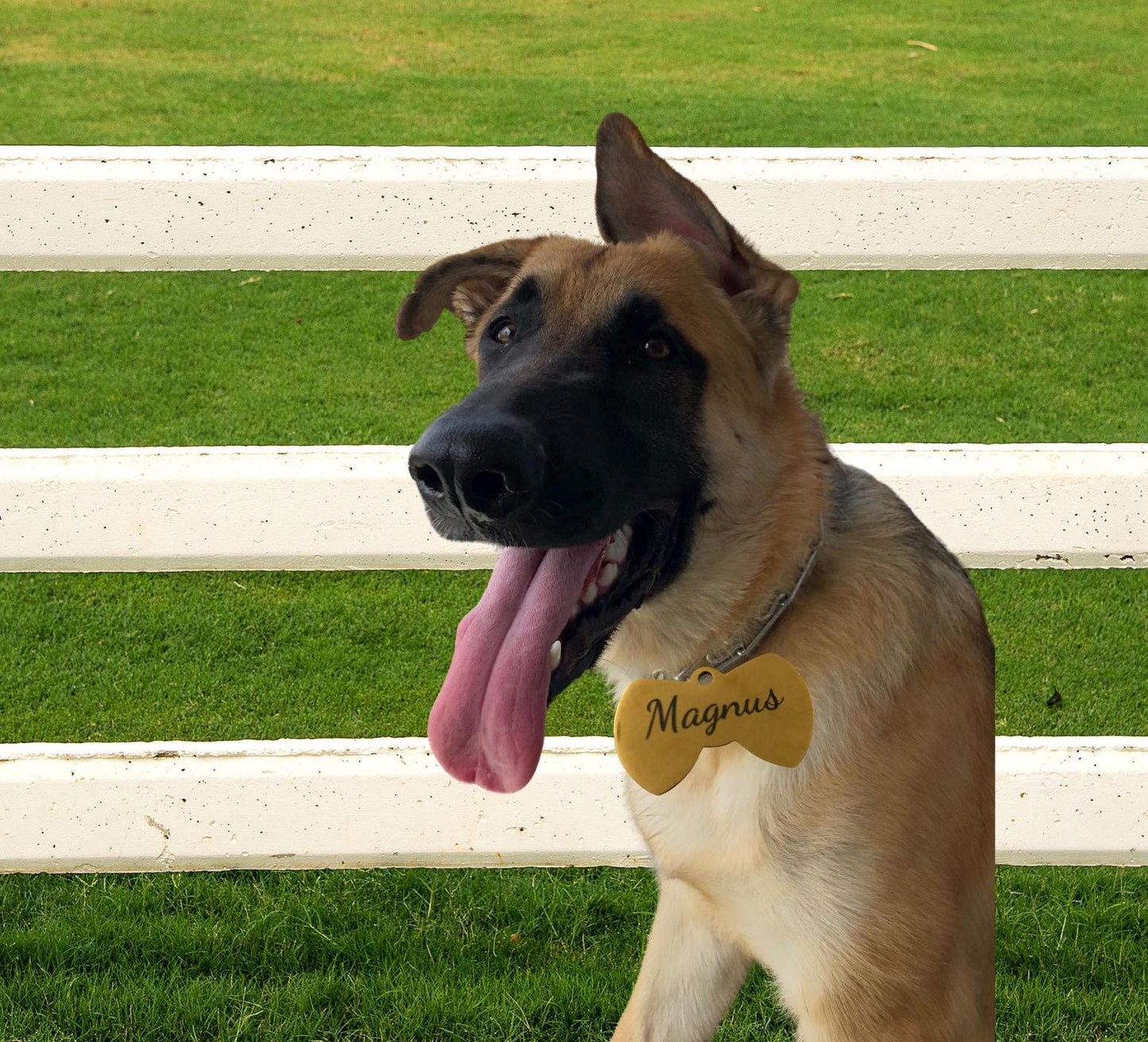 ID Tag, Personalized Bow Tie Pet ID Tag for Dog/Cat