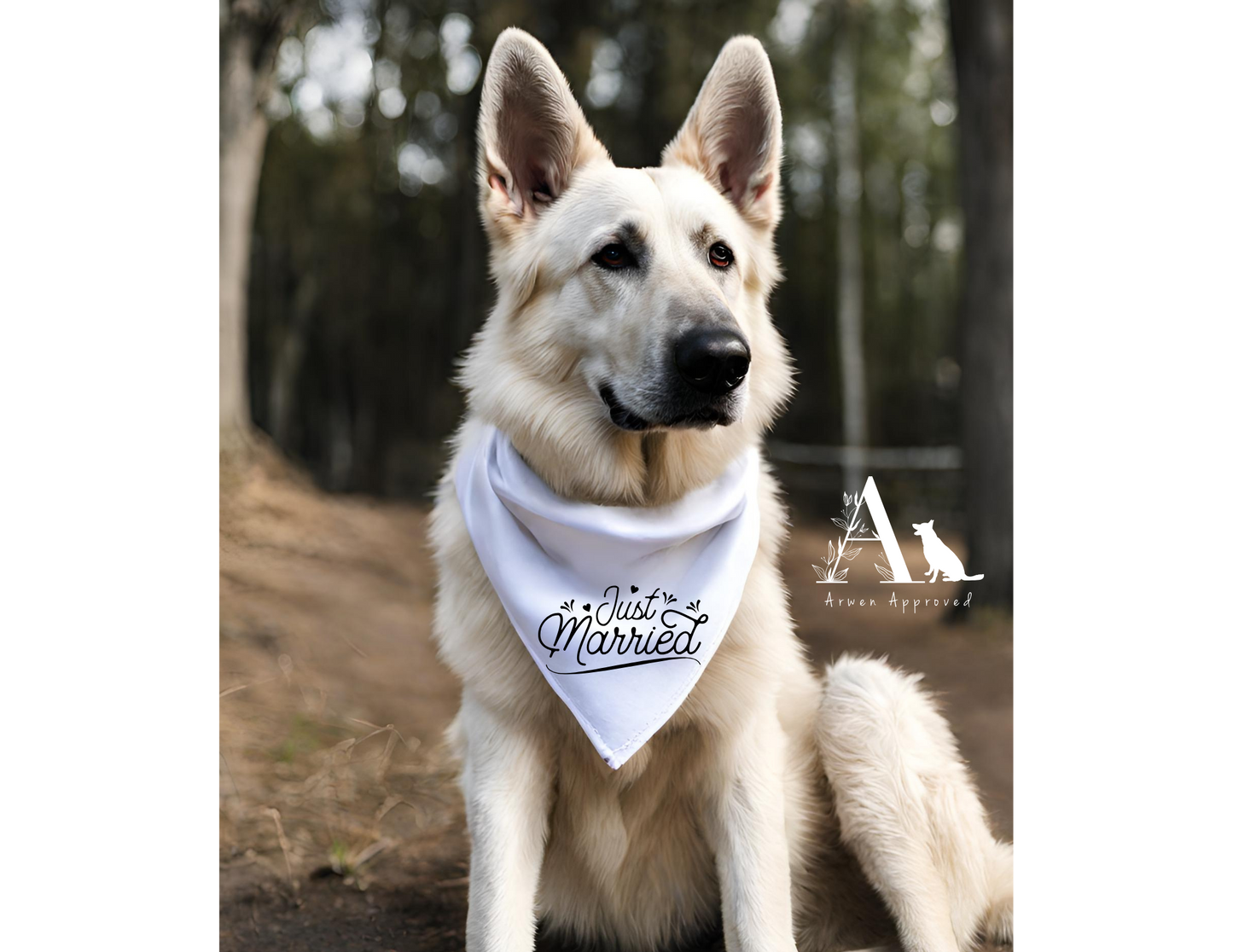 Wedding Dog Bandana | Ring Bearer, Just Married