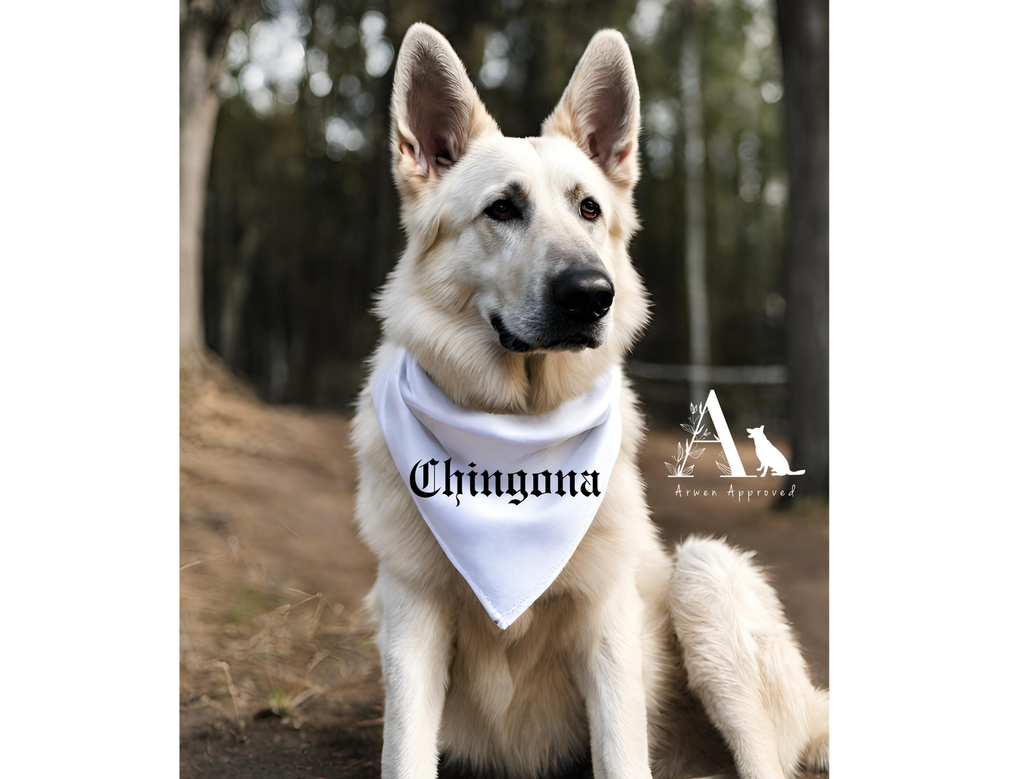Spanglish Dog Bandana | Chingona, Latina AF & Dejame en Paz | Hispanic Heritage Pet Gift S M L