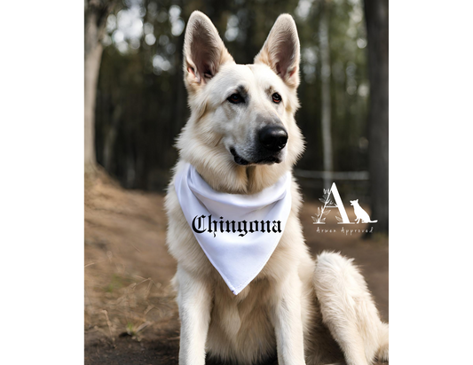 Spanglish Dog Bandana | Chingona, Latina AF & Dejame en Paz | Hispanic Heritage Pet Gift S M L