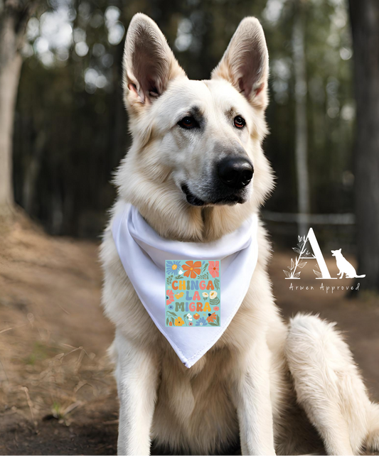White dog wearing a colorful bandana with a blurred natural background
