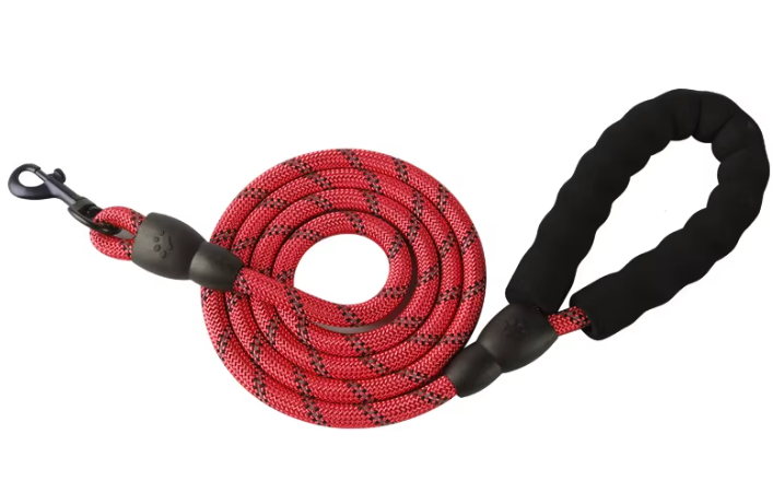 Red and black dog leash coiled on a white background