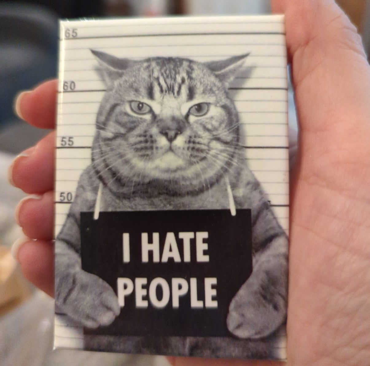 Cat with 'I Hate People' sign on a magnet held by a hand.